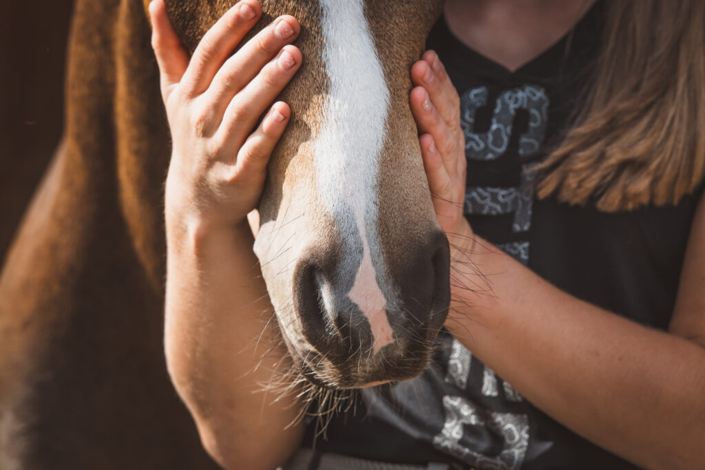cheval
